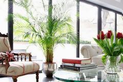 Το αντικείμενο που πρέπει να πετάξετε για να έχετε καλή ενέργεια στο σπίτι