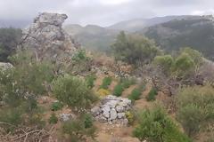 Μια ακόμα χασισοφυτεία βρήκαν οι… αρχές