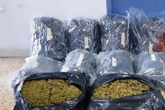 Ναύπακτος: Ηχηρό χτύπημα κατά της διακίνησης ναρκωτικών από την Ασφάλεια Αττικής!