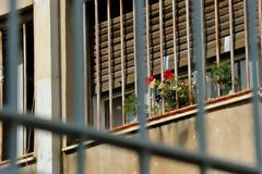 Ξεσκεπάστηκε το κύκλωμα με τους γιατρούς που έδινε πλαστές βεβαιώσεις σε κρατουμένους για γρηγορότερη αποφυλάκιση