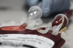 Bloode: «Κάνε κάτι μικρό, για κάτι μεγάλο»!