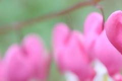 Οι προβλέψεις για τα αισθηματικά σου αυτή την εβδομάδα