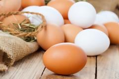 Τι ρόλο παίζει το χρώμα και το μέγεθος ενός αυγού