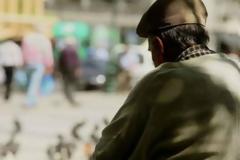 Χαλκίδα: 81χρονος οδηγός χωρίς δίπλωμα ενεπλάκη σε τροχαίο και συνελήφθη!