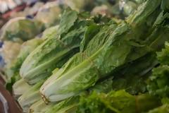 Λιστέρια: Τι είναι το άκρως επικίνδυνο βακτήριο στο πιάτο μας – Συμπτώματα δηλητηρίασης