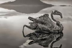 Η λίμνη του θανάτου, που ότι την ακουμπάει του 