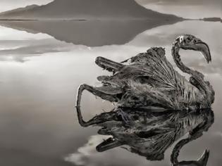Φωτογραφία για Η λίμνη του θανάτου, που ότι την ακουμπάει του ρουφάει τη ζωή - Δείτε συγκλονιστικές εικόνες που κόβουν την ανάσα [photos]
