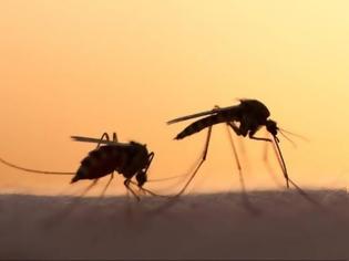 Φωτογραφία για Βρήκαν τι να κάνουμε για να μας αφήσουν ήσυχους τα κουνούπια