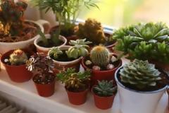 Αυτά είναι τα πιο γρουσούζικα πράγματα που έχουμε στο σπίτι μας