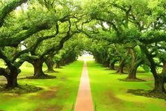 Μαγευτικά φυσικά τοπία… εντός πόλης!