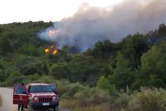 Εύβοια: Υπό έλεγχο η φωτιά που «απείλησε» χωριά του Δήμου Κύμης - Αλιβερίου (ΦΩΤΟ & ΒΙΝΤΕΟ)