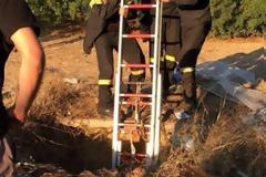 Πάτρα: Έβγαλε γατάκι από πηγάδι 10 μέτρων η 6η ΕΜΑΚ
