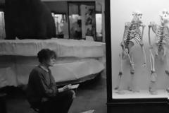 Η ελευθερία είναι γραμμένη στο DNA μας