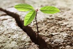 Σπάσε τη “βιτρίνα” του κόσμου, αν θες να αντικρίσεις την αλήθεια του