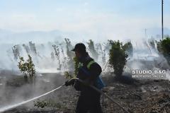 Αργολίδα: Φωτιά κοντά στο νεκροταφείο του χωριού Πουλακίδα [photos]