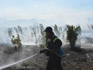 Φωτογραφία για Αργολίδα: Φωτιά κοντά στο νεκροταφείο του χωριού Πουλακίδα [photos]
