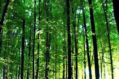 LIFE-IP 4 NATURA: Το μεγαλύτερο κοινοτικό πρόγραμμα για την προστασία της ελληνικής φύσης