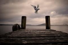 Η υπομονή είναι αρετή, αλλά δεν είναι ούτε δεδομένη, ούτε ανεξάντλητη.