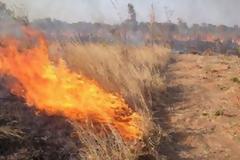Μέτρα πρόληψης για την αποφυγή εκδήλωσης δασικών πυρκαγιών και αντιμετώπισης των συνεπειών τους ενόψει της νέας αντιπυρικής περιόδου.