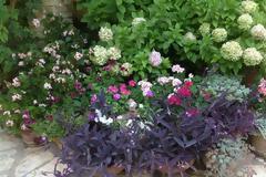 Τρομερό: Η πιο… μακάβρια πινακίδα σε ελληνικό κήπο