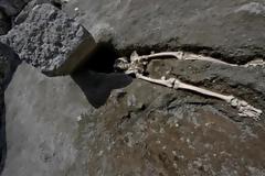 Αυτός ήταν ο πιο άτυχος κάτοικος της Πομπηίας - Γλίτωσε από την έκρηξη του Βεζούβιου αλλά... [photo]