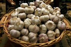 Σκόρδο: Το φυσικό υποκατάστατο της πενικιλίνης