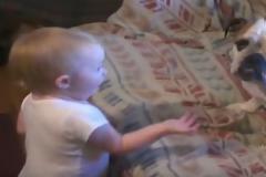 Απολαυστικό βίντεο: Όταν ένα μωρό μαλώνει ένα μπουλντόγκ!