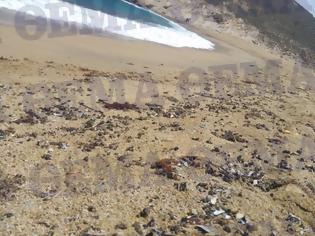 Φωτογραφία για «Μυστηριώδης» πετρελαιοκηλίδα ρυπαίνει παραλία της Μυκόνου