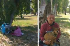 Πάτρα: Άστεγος καρκινοπαθής ζεί στο Νότιο Πάρκο - Μοναδική του συντροφιά τα σκυλάκια του