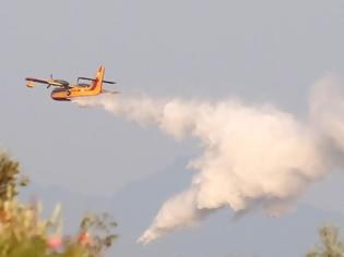 Φωτογραφία για Πυρκαγιά σε αγροτοδασική έκταση στην Εύβοια
