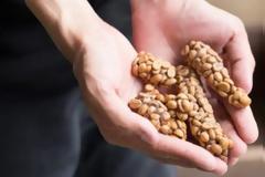 Οι ακριβότεροι κόκκοι καφέ στον κόσμο συλλέγονται από περιττώματα ασιατικής αγριόγατας