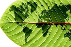 Ανθρώπινο είδος: Τόσο μικρό σε πληθυσμό αλλά απόλυτα καταστροφικό