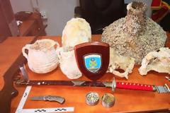 Ψάχνουν Ελληνα για όπλα, εκρηκτικά, ναρκωτικά και αρχαία στην Κάλυμνο