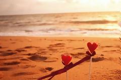 Τα κόλπα των ζωδίων και ποια στρατηγική ακολουθούν τα ζώδια για να τα ερωτευτείς;