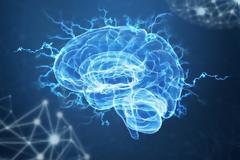 Τα γονίδια κλειδιά στην ανάπτυξη του ανθρώπινου εγκεφάλου