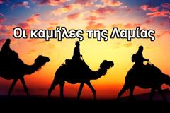 Οι καμήλες της Λαμίας - Σπάνιες εικόνες... [photos]