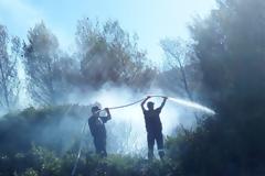 Πισσώνας: Μαίνεται η πυρκαγιά, αλλά δεν απειλεί σπίτια - Δείτε Εικόνες!