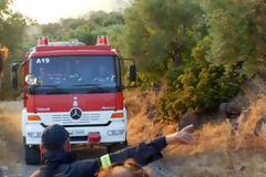 Πυροσβεστική για την φωτιά στο Πούρνο: «Αναζητείται για να συλληφθεί χειριστής αγροτικού μηχανήματος»