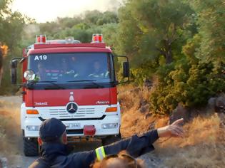 Φωτογραφία για Πυροσβεστική για την φωτιά στο Πούρνο: «Αναζητείται για να συλληφθεί χειριστής αγροτικού μηχανήματος»