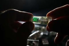 Αιμορραγία στο στομάχι: Επιστήμονες δημιούργησαν την πρώτη κάψουλα - αισθητήρα που την ανιχνεύει!