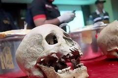 Κρανία, πτώματα και ζωντανές κότες: Τα πιο τρελά πράγματα που έχει «πιάσει» η ασφάλεια των αεροδρομίων