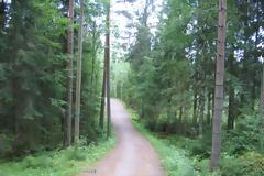 Η φωτογραφία που προκαλεί ανατριχίλα στο διαδίκτυο -Ενα αγόρι «φάντασμα» σε δάσος