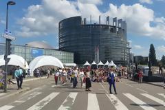 Γαλλία: «Όχι» στην παρουσία της Χρυσής Αυγής στο Στρασβούργο από Έλληνες και φιλέλληνες της πόλης