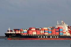 Οι ακτές της Αυστραλίας γέμισαν με πάνες και σερβιέτες