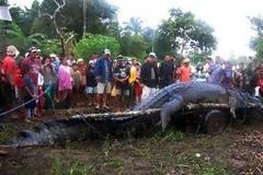 Τα 10 πιο τρομακτικά «τέρατα» που δεν είναι… της φαντασίας μας [photos]