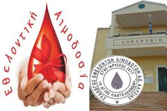 Το νέο Διοικητικό Συμβούλιο του Συλλόγου Εθελοντών Αιμοδοτών Δ.Ε. Αλυζίας “Ο Άγιος Παντελεήμων”