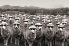 H δύναμη της μάζας