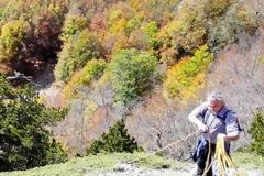 Το αρχαιότερο δέντρο της Ευρώπης είναι 1.230 ετών