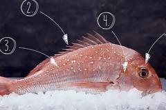 Πώς θα καταλάβω αν το ψάρι είναι φρέσκο;