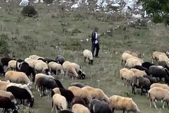 Σοκαριστική μαρτυρία κτηνοτρόφου στην Εύβοια: Ήρθα πρόσωπο με πρόσωπο με το Διάβολο